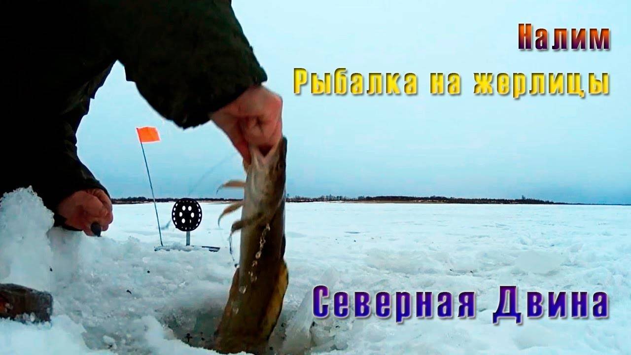 Зимняя ловля рыбы поплавочными удочками