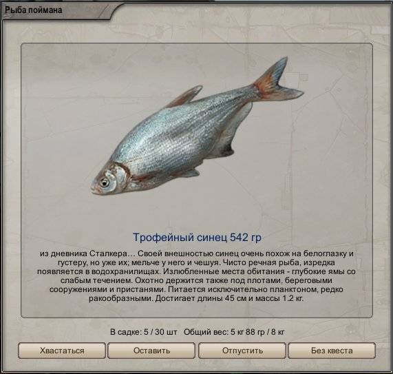 ???? рыба сопа или белоглазка: подробное описание, способы ловли, фото