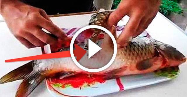Как разделать рыбу на филе без костей