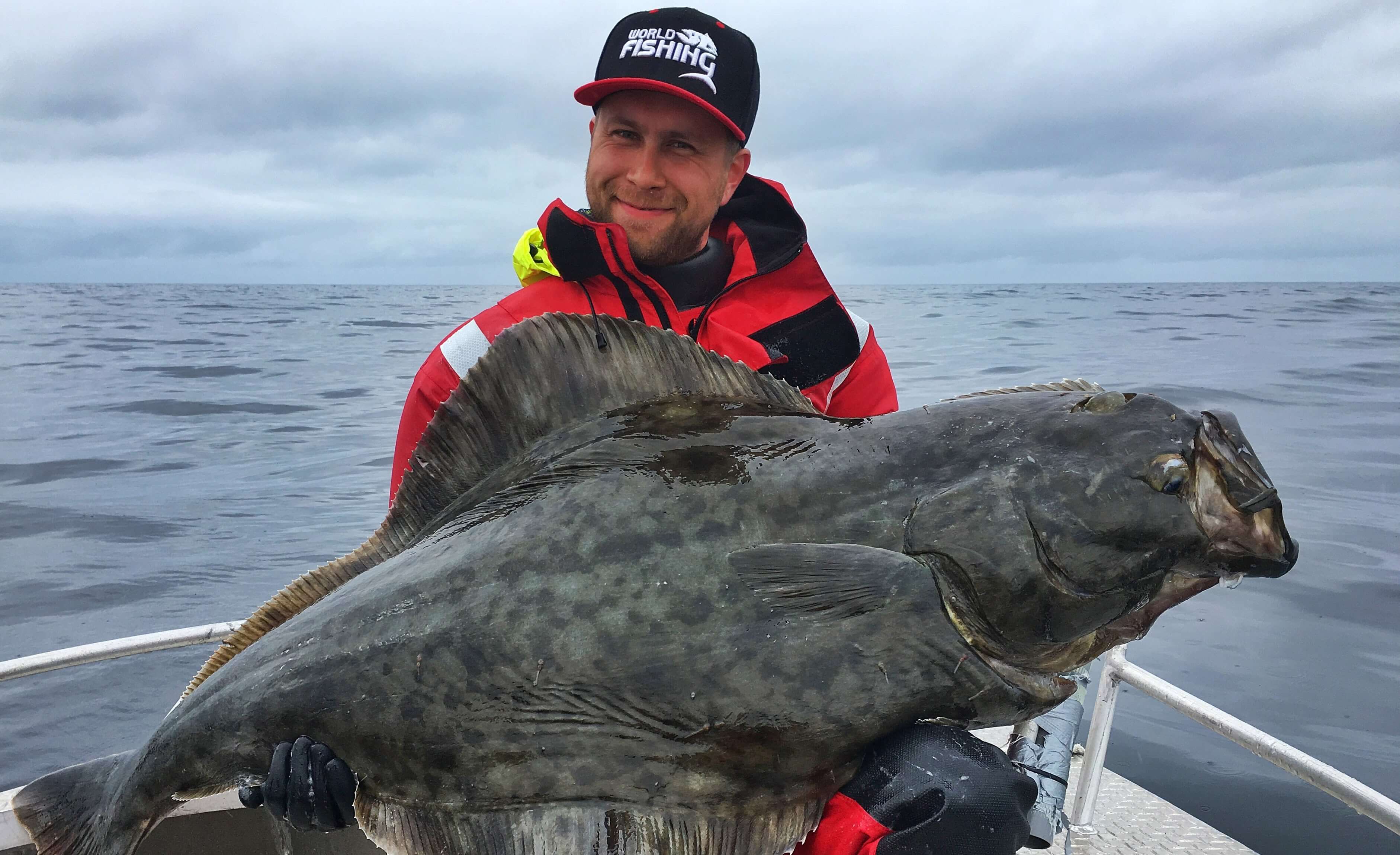 Рыбалка в норвегии — особенности, где можно ловить, какая рыба водится