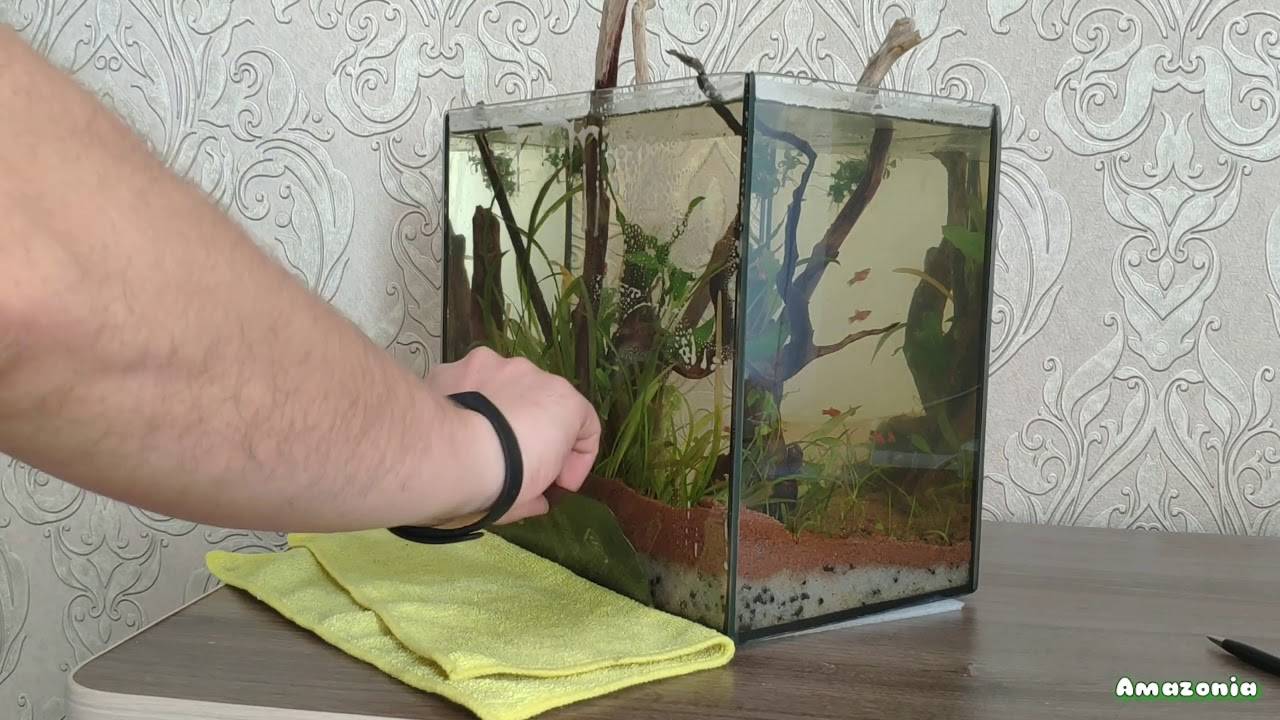 Задний фон для аквариума своими руками — ribnydom.ru