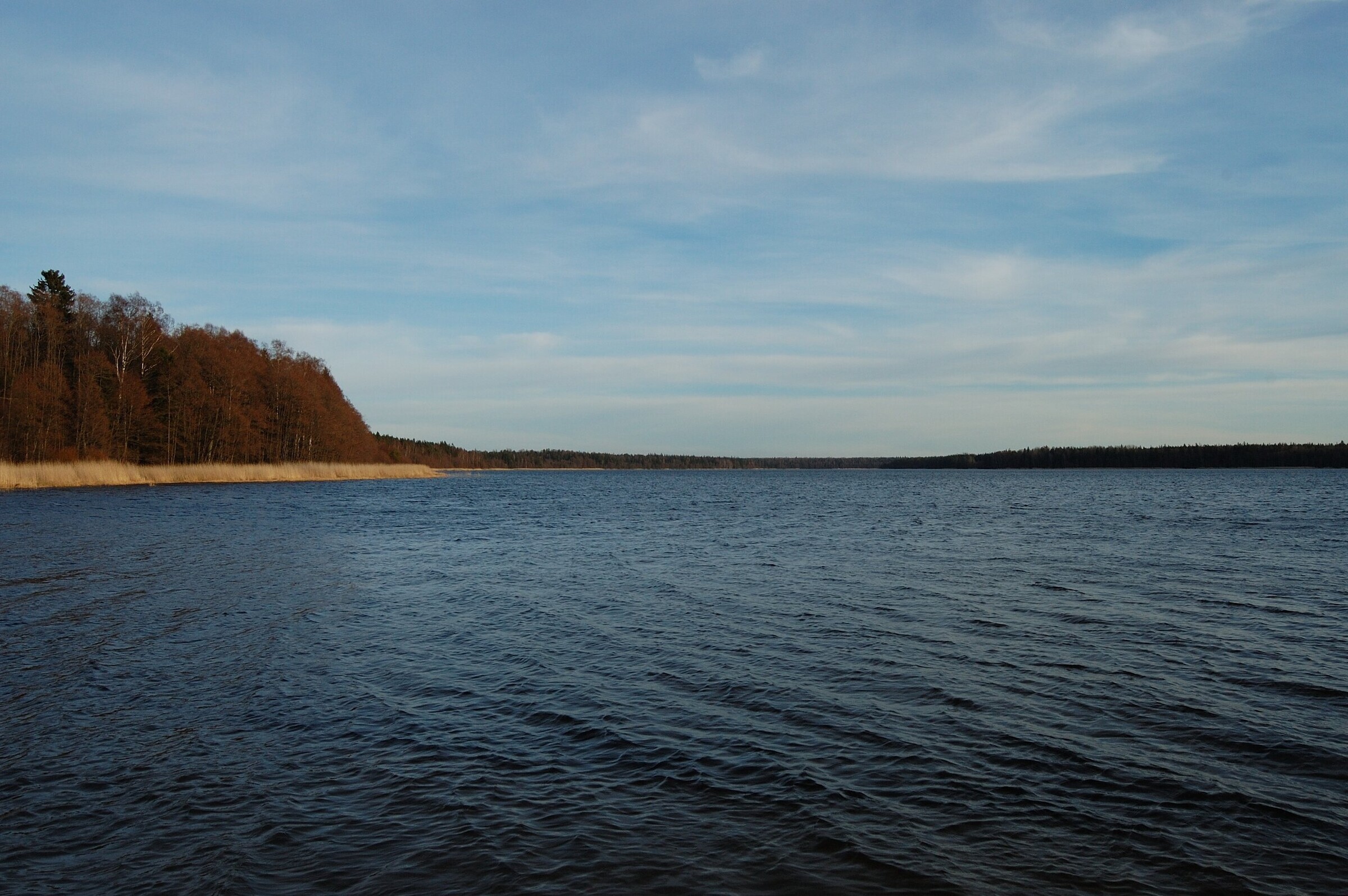 Липовское озеро в ленинградской области — на карте, как добраться, отзывы, база отдыха, рыбалка, фото