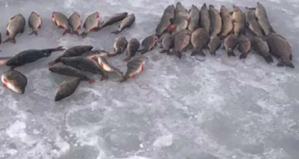 Как выбрать место для ловли со льда. практика спортивного рыболовства