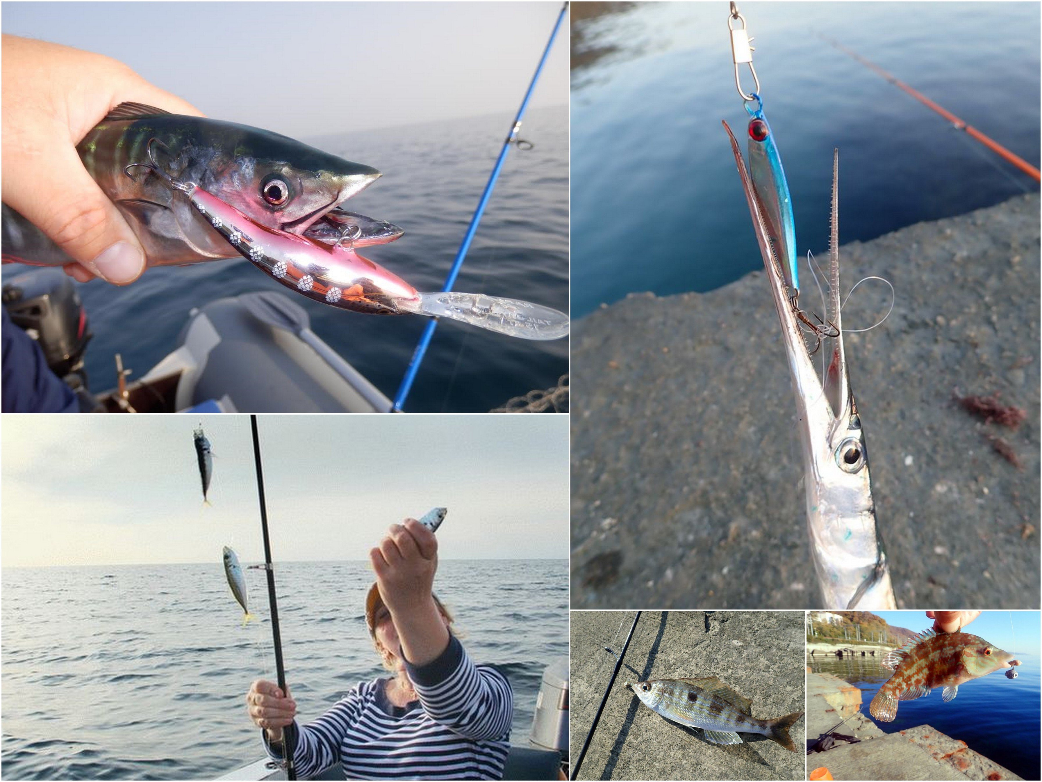 Секреты рыбалки на черном море с берега и плавсредства