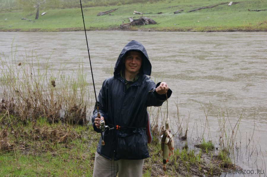 В какую погоду лучше ловить рыбу, как погодные условия влияют на клев