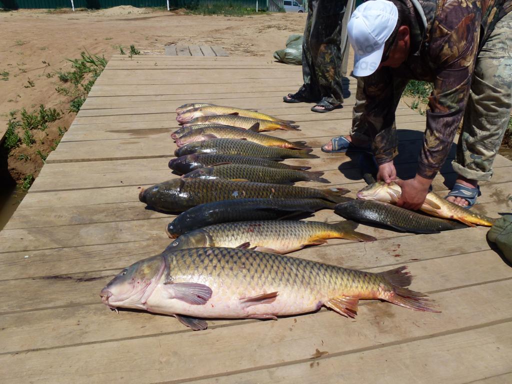 Рыбалка в Астрахани на раскатах Каспия (индивидуальная)