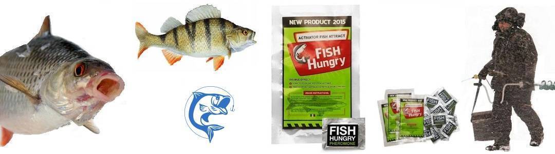Отзывы о супер активаторе клева fishhungry (голодная рыба)