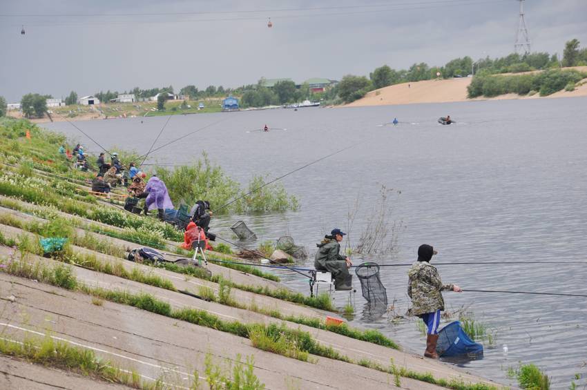 Платная рыбалка в нижегородской области