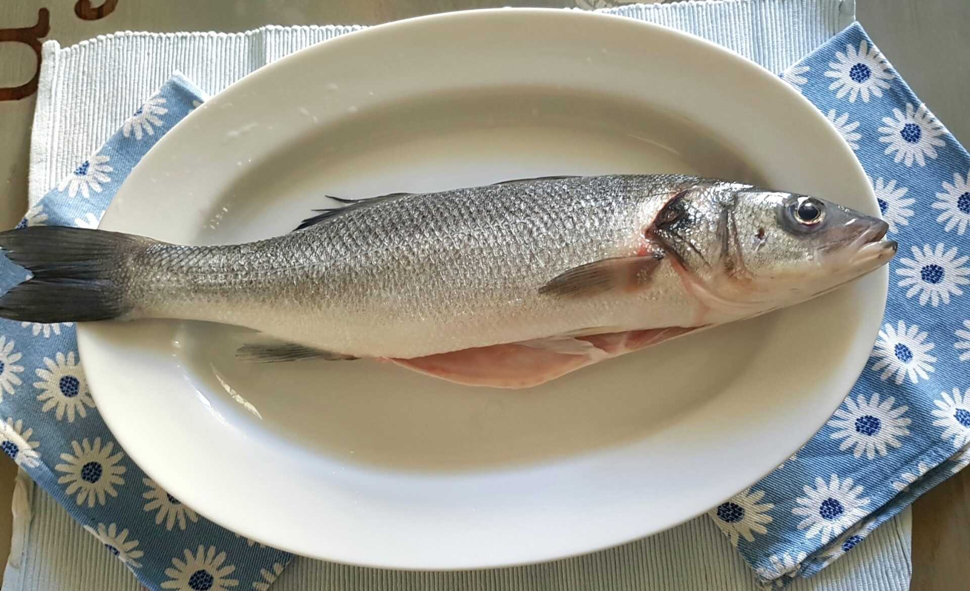 Рыба сибас (лаврак): польза и вред, правила приготовления