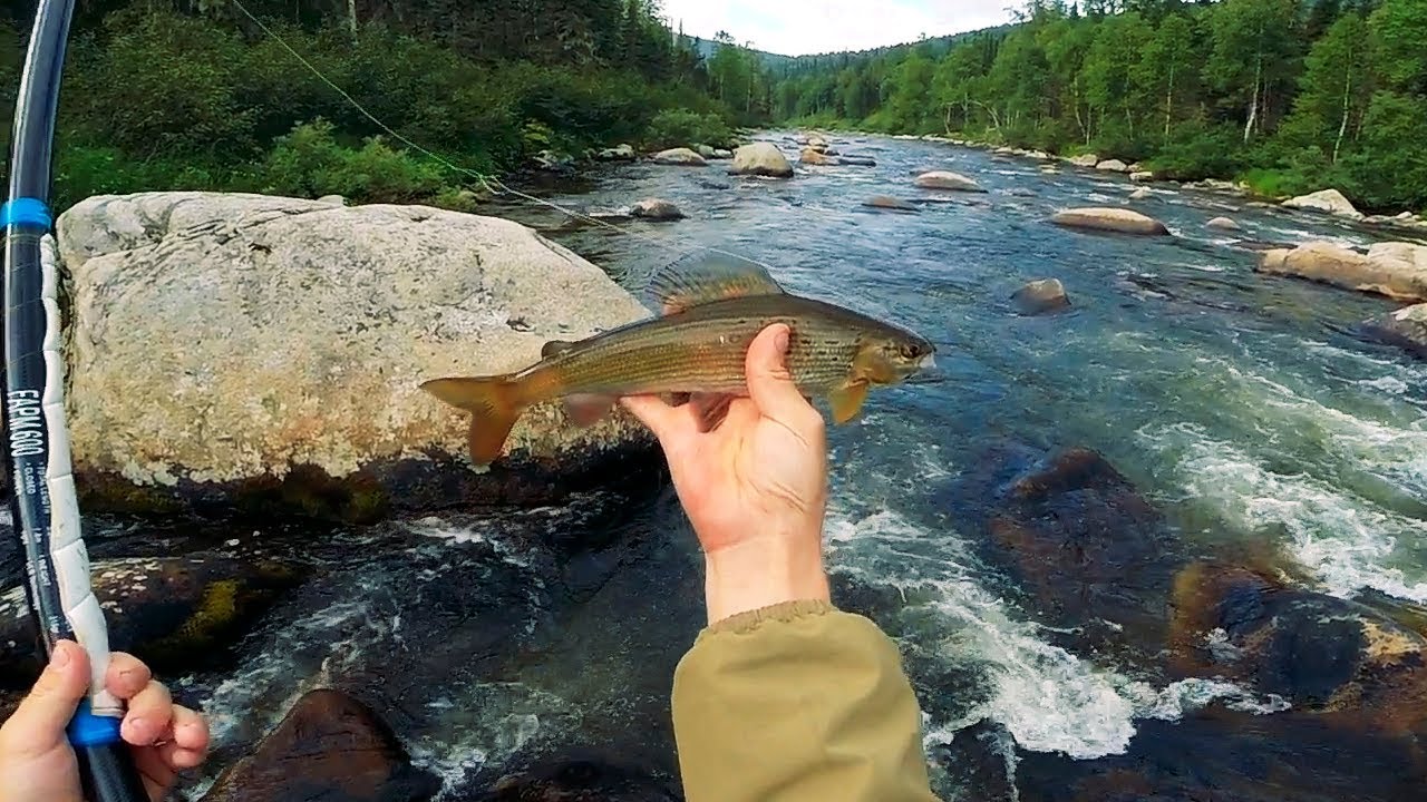Ловля спиннингом на малых реках - slobfishunt.ru