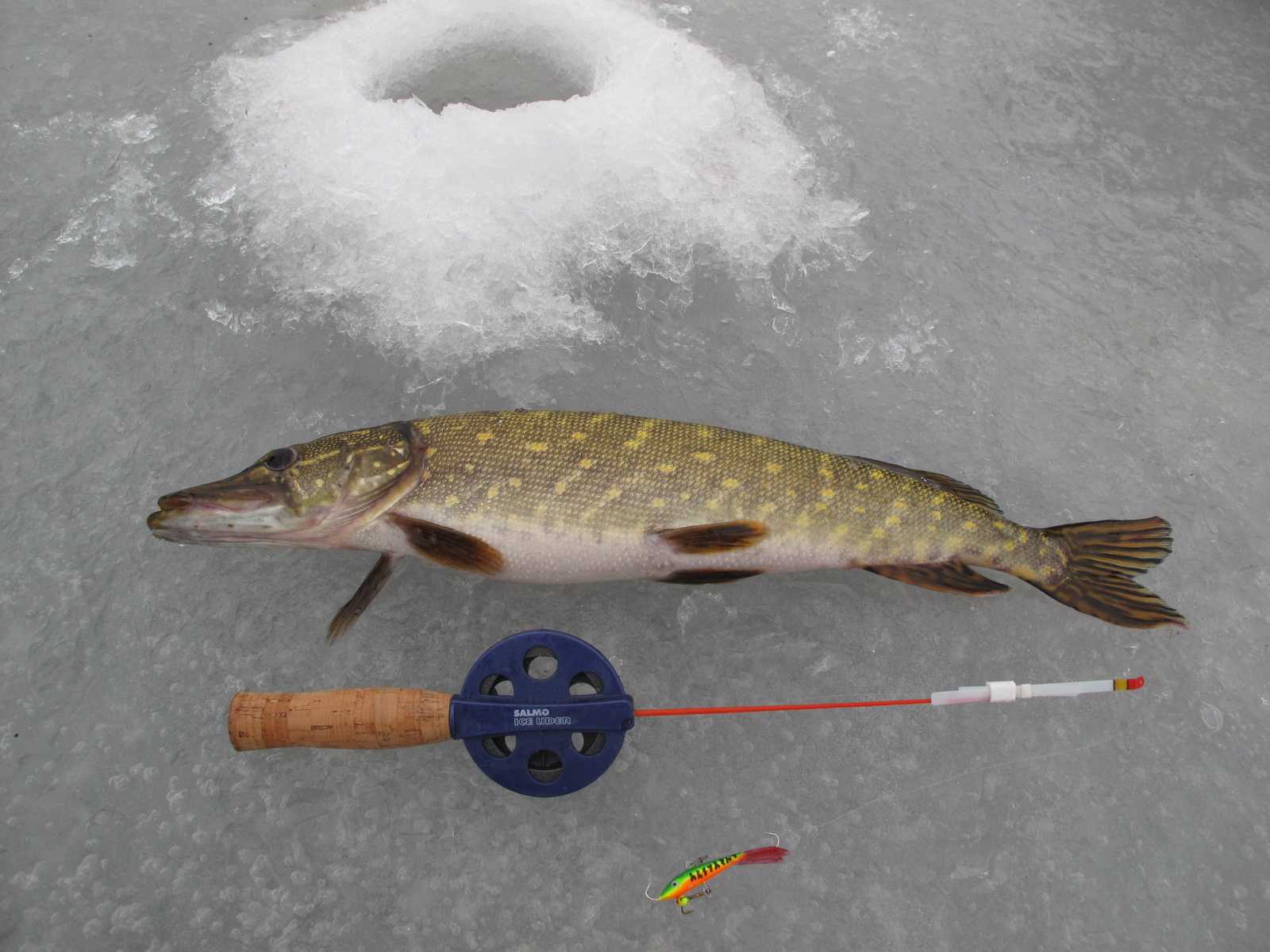 Зимняя рыбалка на щуку на балансир: техника и тактика ловли