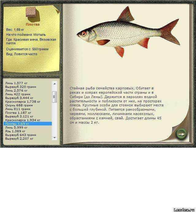 Рыба «подуст» фото и описание