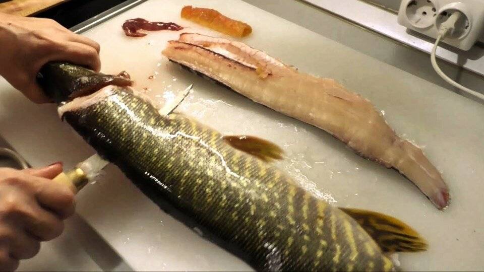 Как разделать щуку на котлеты — видео, способы правильно почистить рыбу