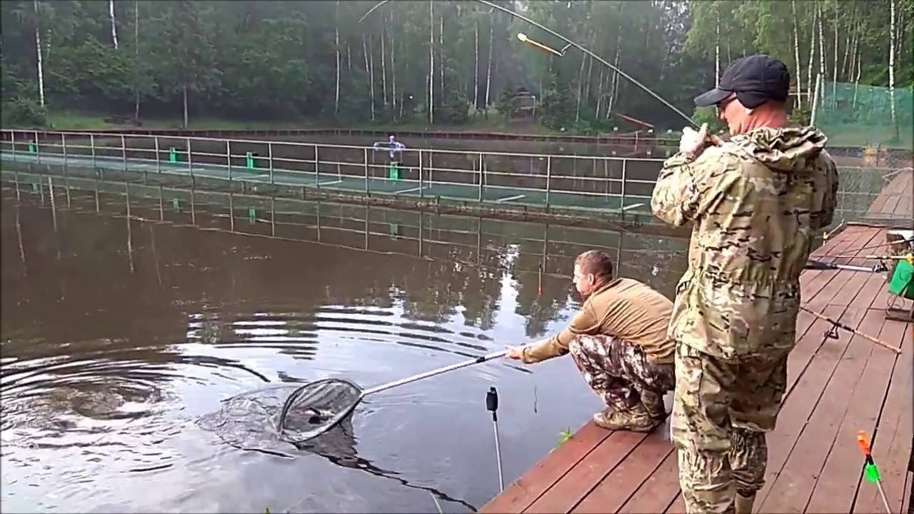 Реклама мест для рыбалки в россии: рыболовные базы, платные водоемы и туры
