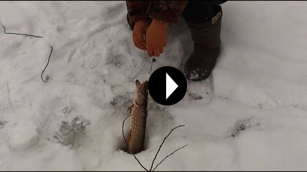 Жерлицы для зимней рыбалки