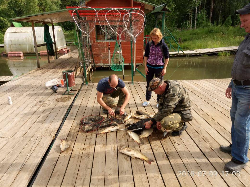 ✅ рыбалка в хомяково сергиево-посадского района, особенности ловли рыбы в деревне - рыбзон.рф
