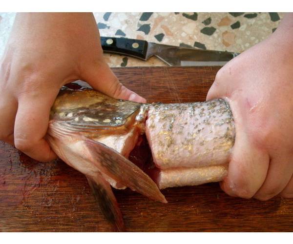 Разделка рыбы на филе с кожей, реберными и позвоночной костью
