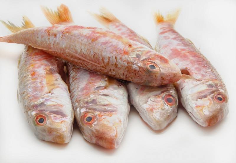 Рыба барабулька: фото, отзывы, как выглядит, где водится, как приготовить
