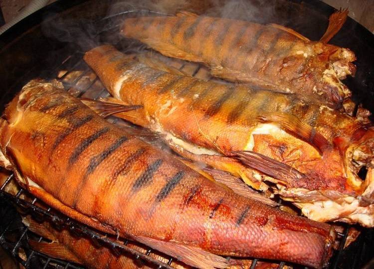 Рыба горячего копчения: рецепт для коптильни горячего копчения в домашних условиях