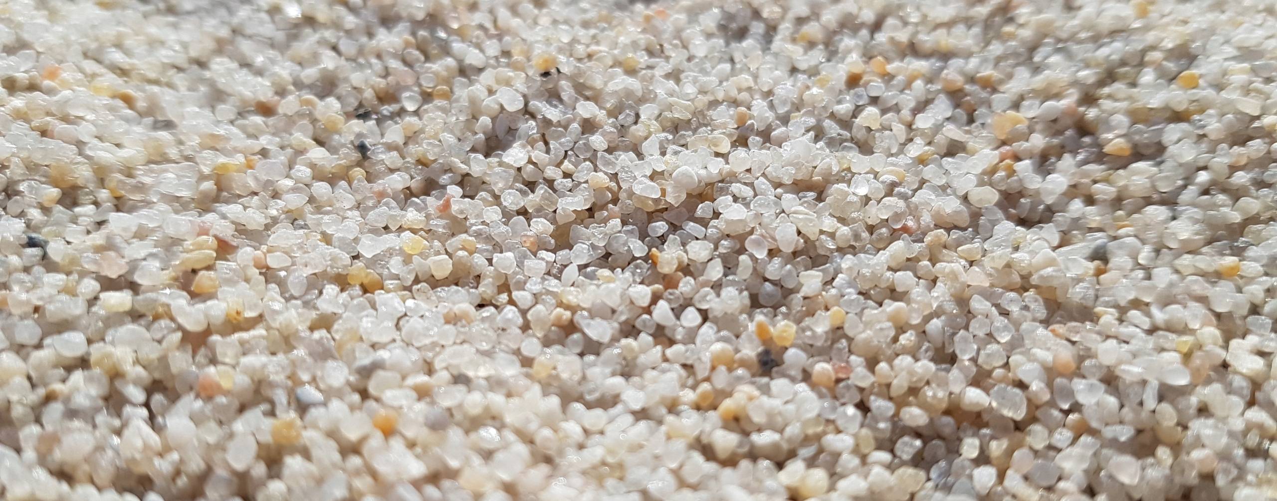Песок лучший вид грунта для аквариума, его многообразие и свойства