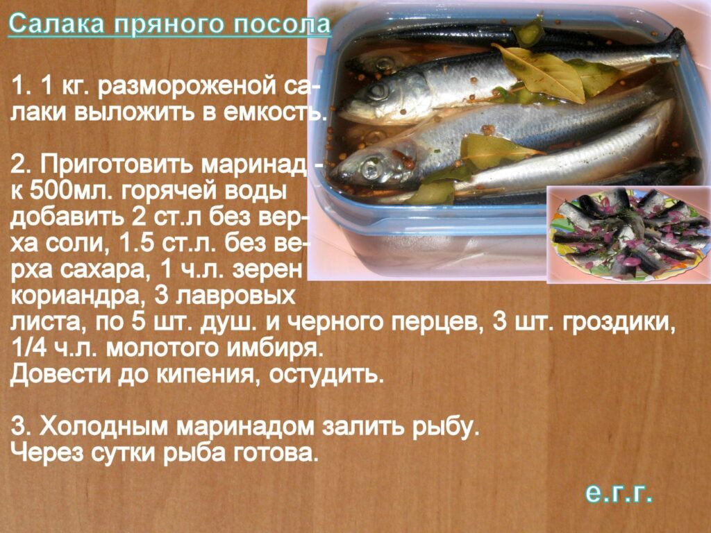 Засолка рыбы в домашних условиях: рецепты соления скумбрии, др.