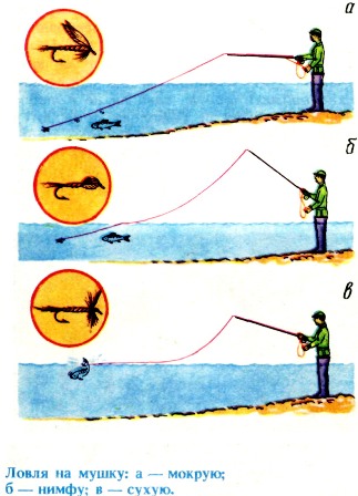Ловля спиннингом на мушку — общие правила этого метода