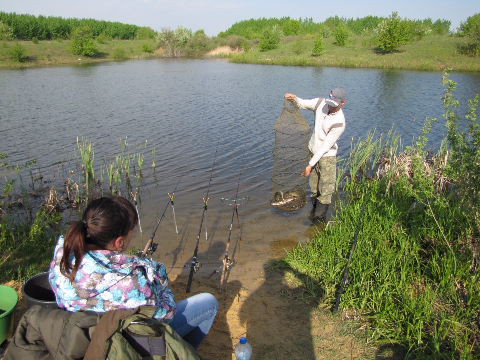 Рыбалка в ростовской области: лучшие места, карта и описание мест для рыбалки в ростове-на-дону
