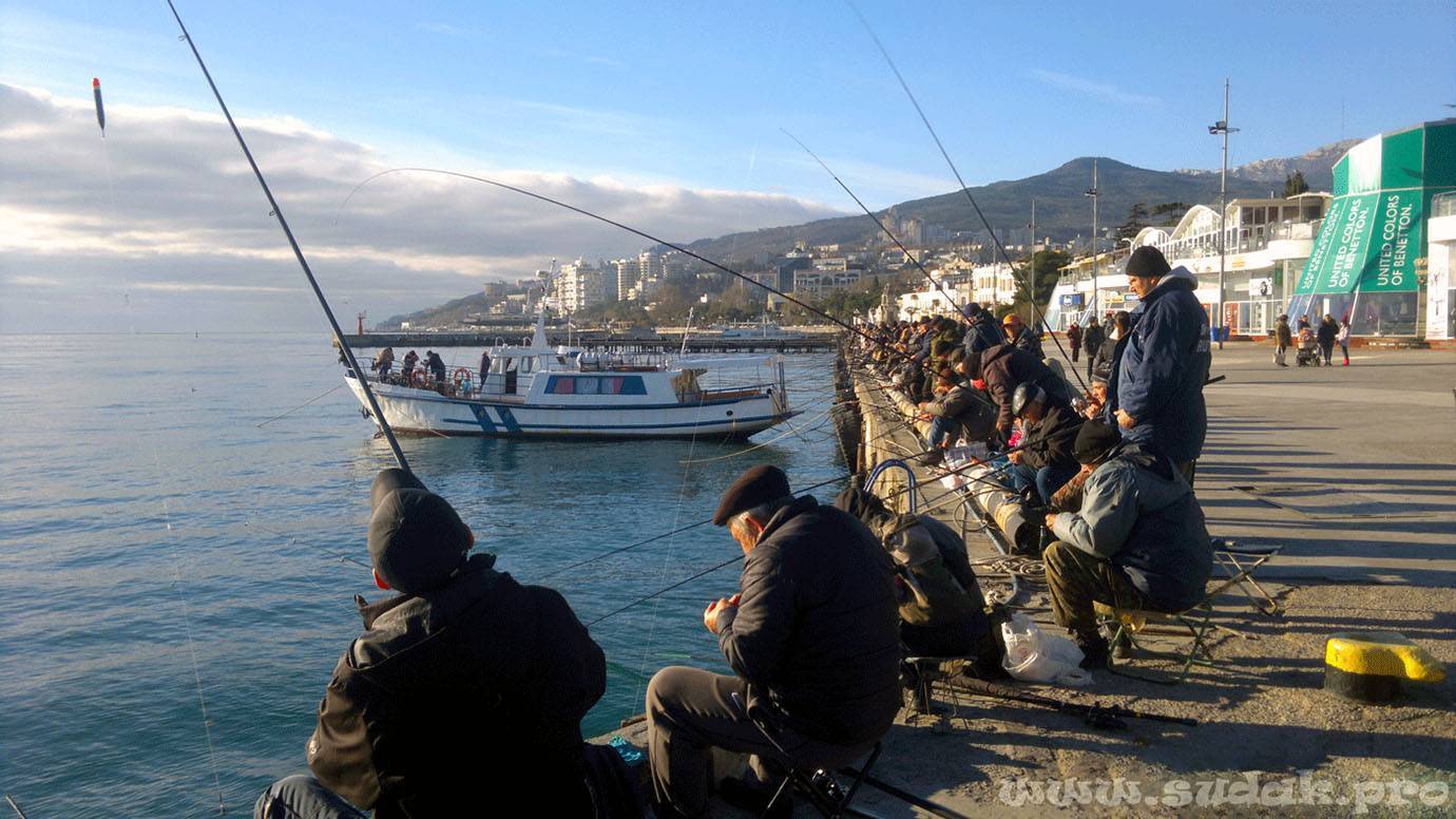 Зимняя рыбалка на черном море с берега и лодки фото