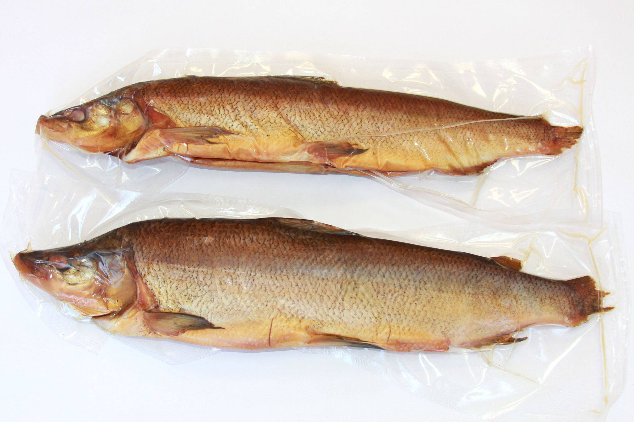 Муксун рыба – что это такое, отличия от щекура, ловля и полезные свойства