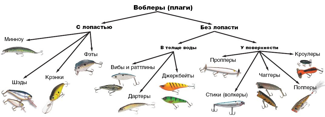Основные виды рыбалки