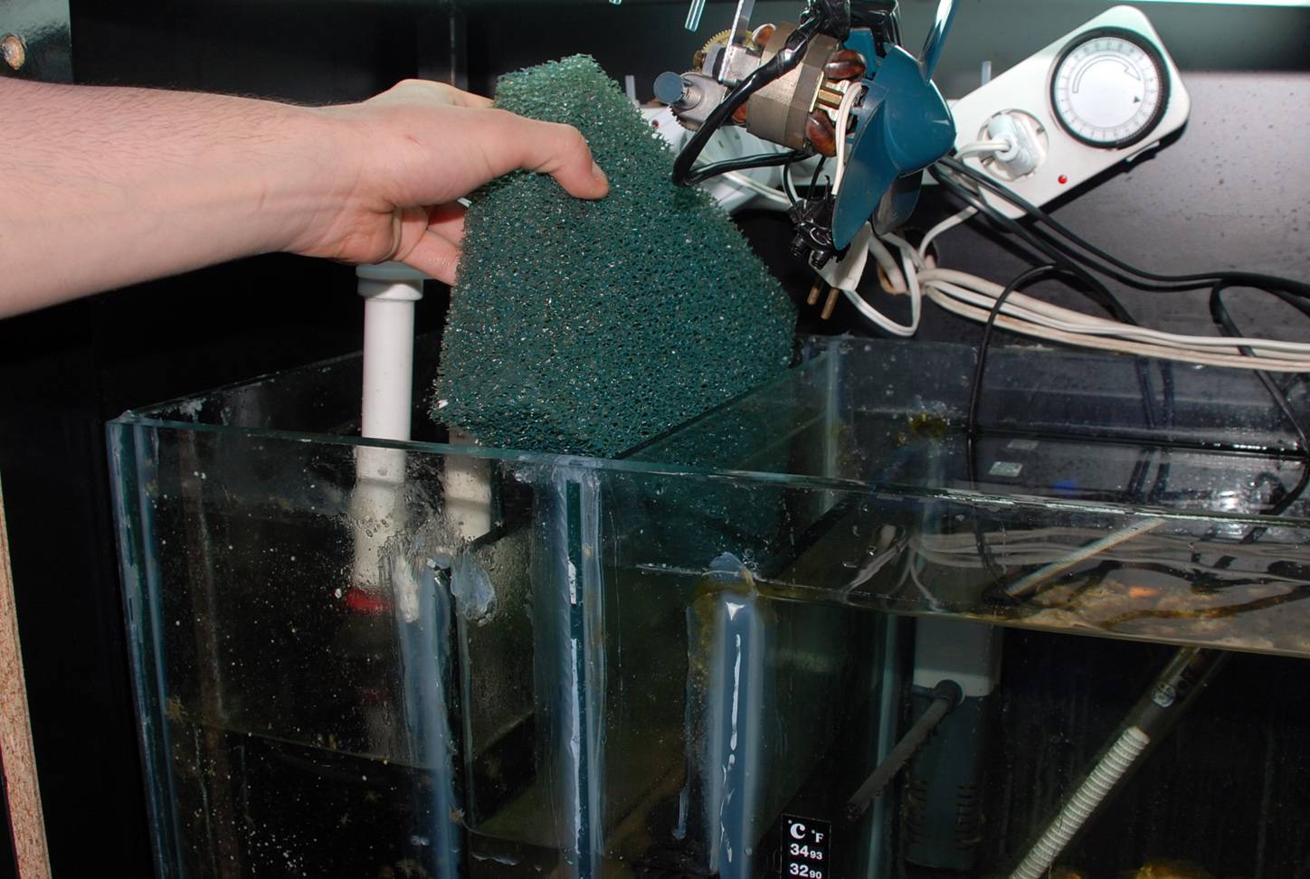 Чистка аквариума: алгоритм и переодичность уборки