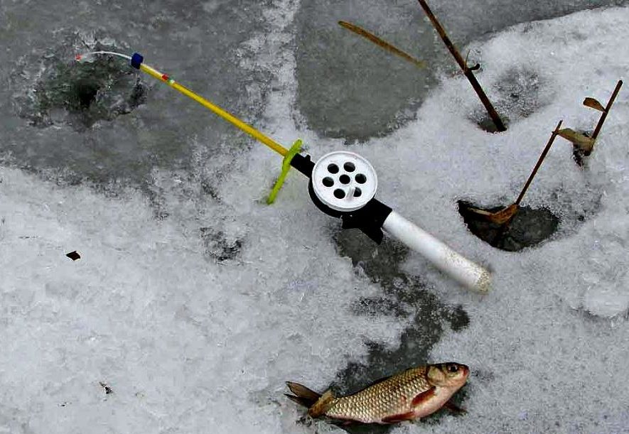 Как поймать линя зимой со льда