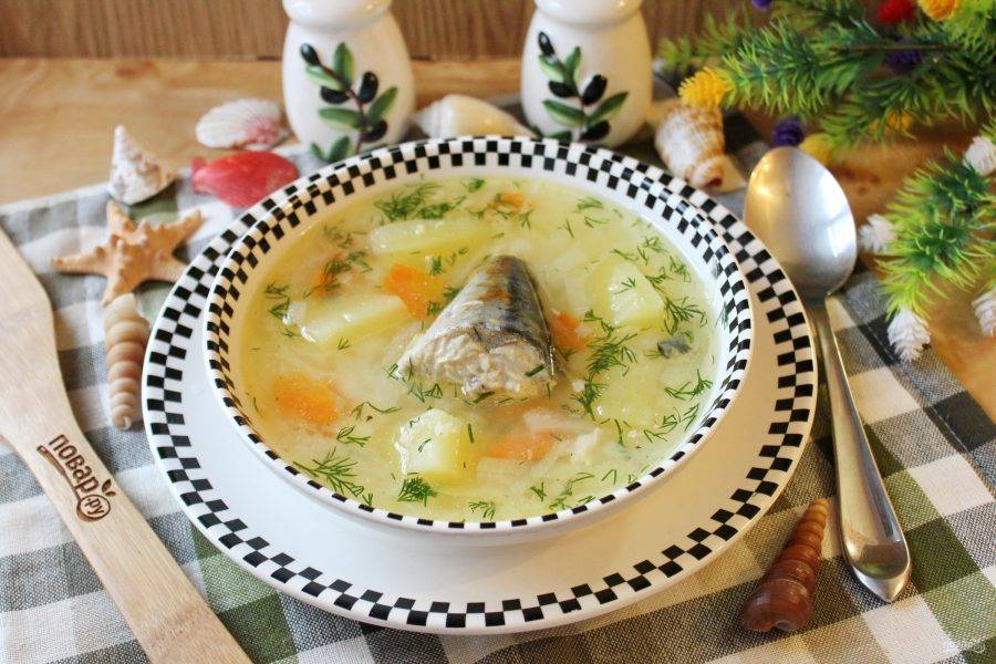 Суп из скумбрии — 8 рецептов, как сварить вкусный рыбный суп