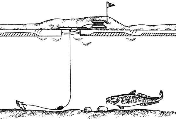 Зимняя ловля судака на поставушки: особенности и техника