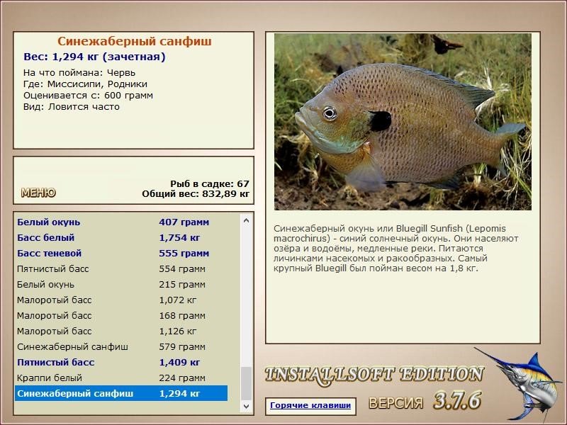 ???? семейство окуневых: список рыб, разновидности