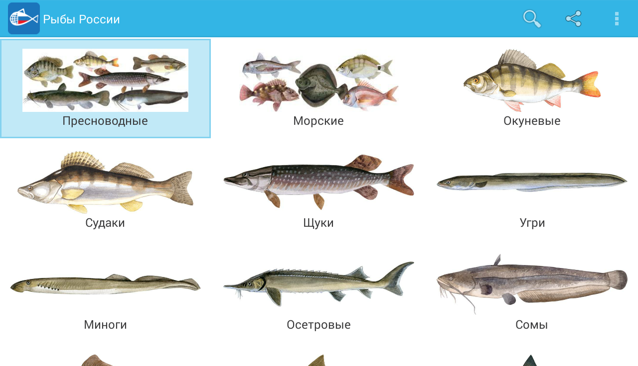 Речные рыбы. Рыбы России. Пресноводные рыбы названия. Рыбы которые водятся в реке.