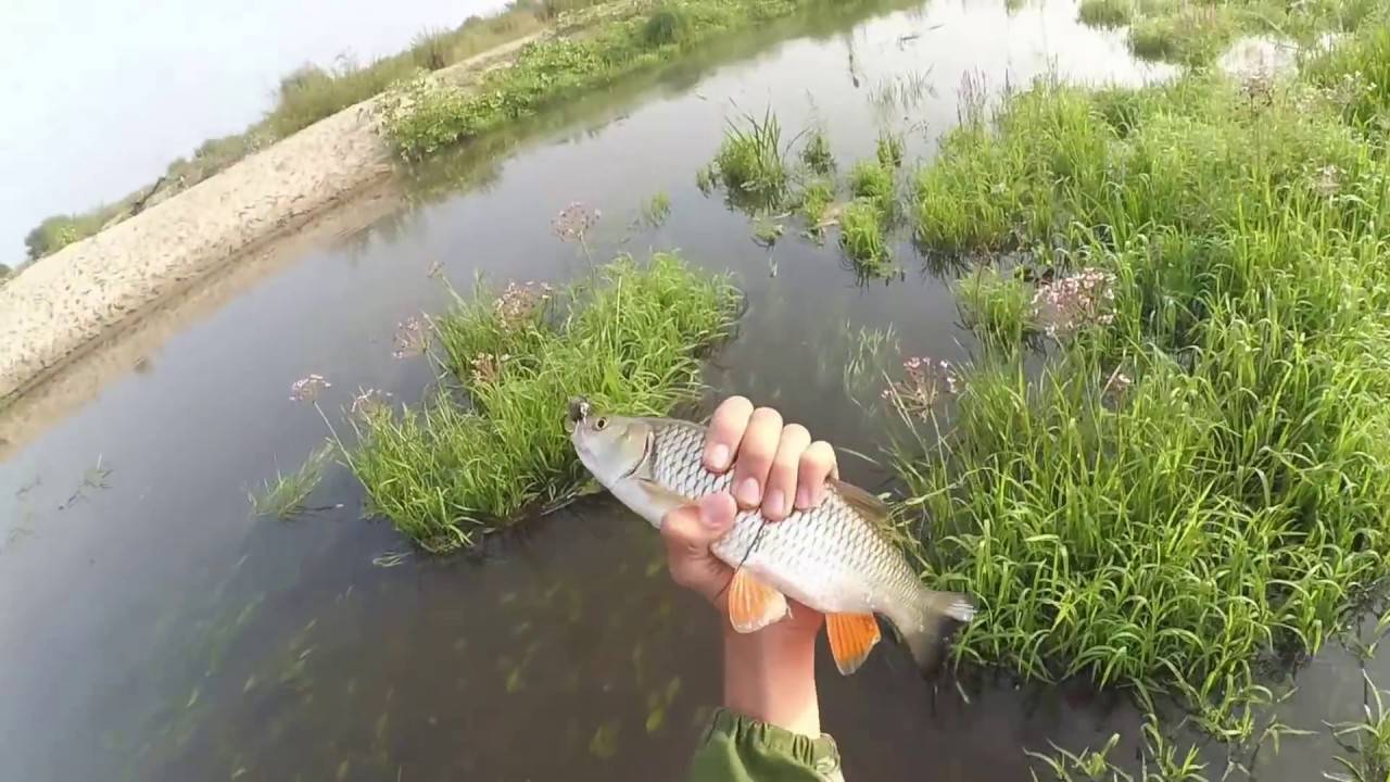 Мордовское озеро: рыбалка и какая рыба водится