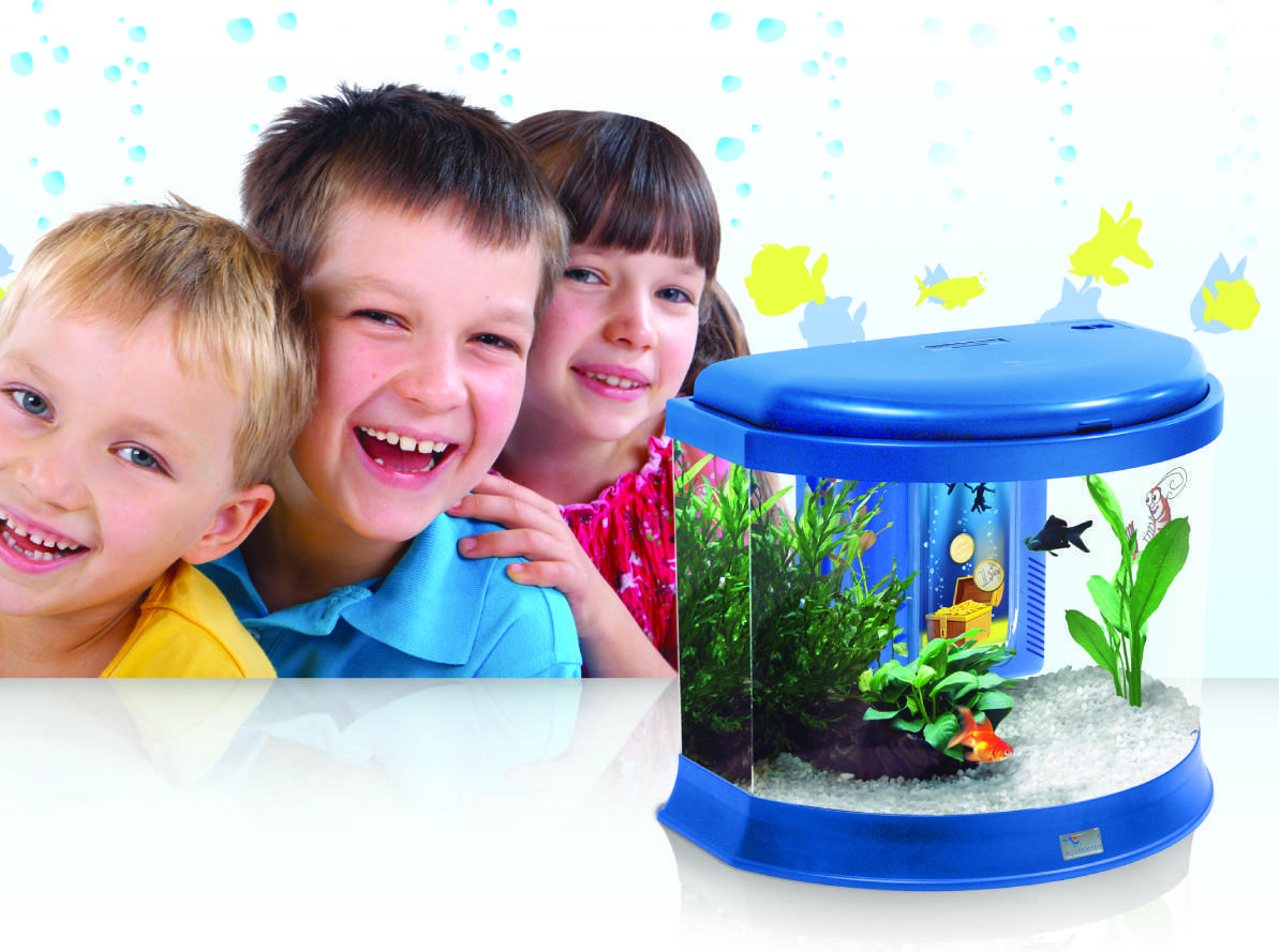 ᐉ аквариум и рыбки для детей: советы родителям! - zoogradspb.ru