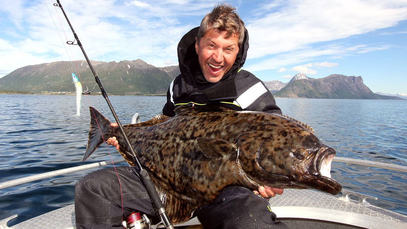 Рыбалка в норвегии: разновидности рыбы, снасти и приманки