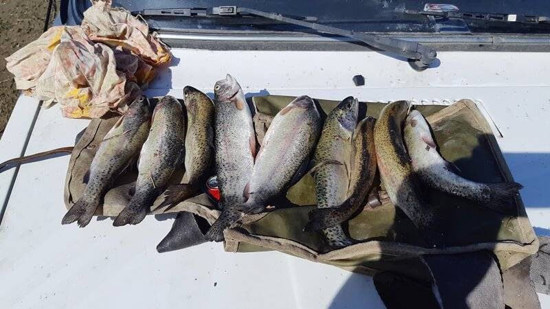 Пресноводная рыбалка в крыму 2023 - форель, щука, карп, карась, сазан, окунь...