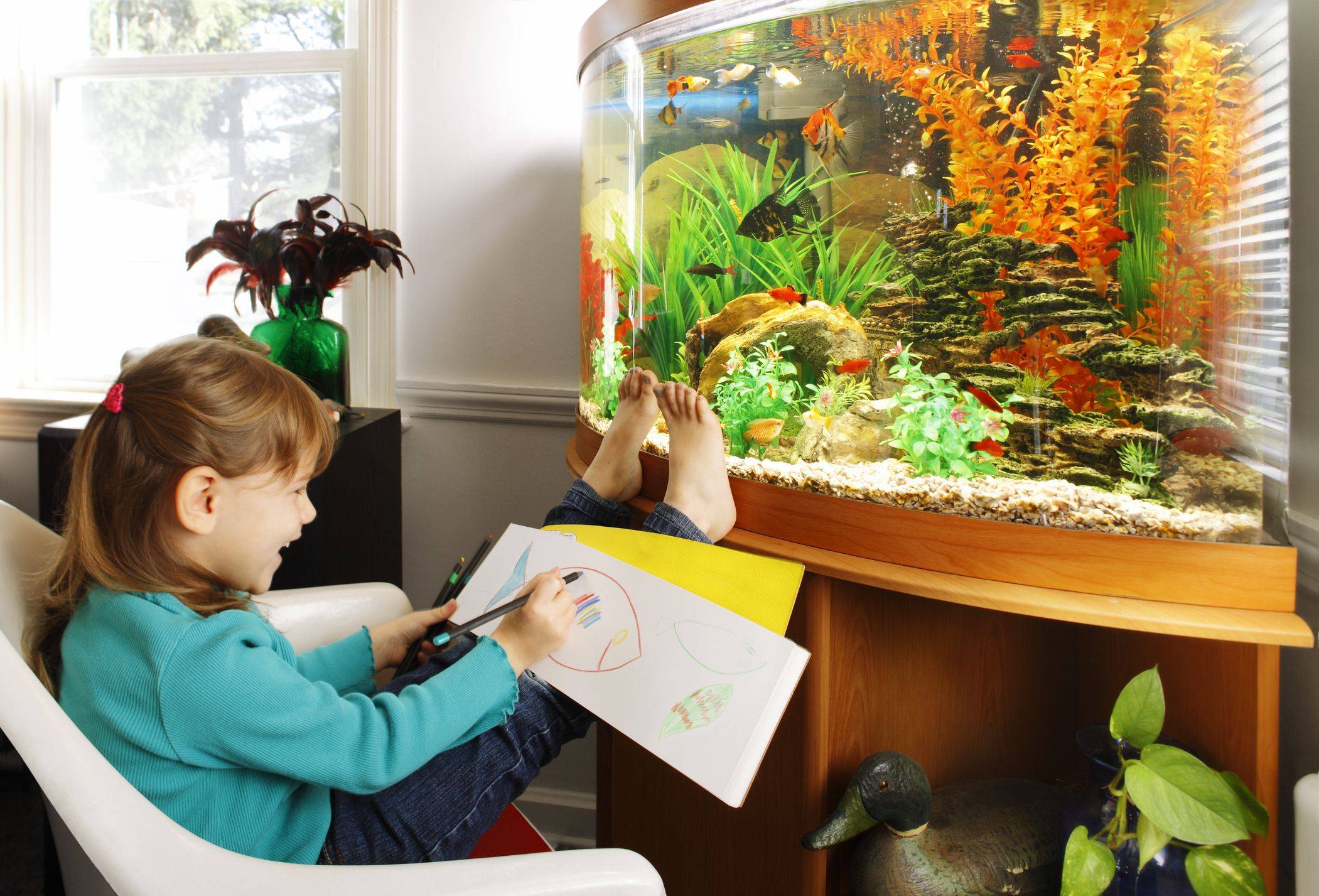 Рыбки плавают в аквариуме | конспекты занятий, оод  | воспитатель детского сада / всероссийский журнал