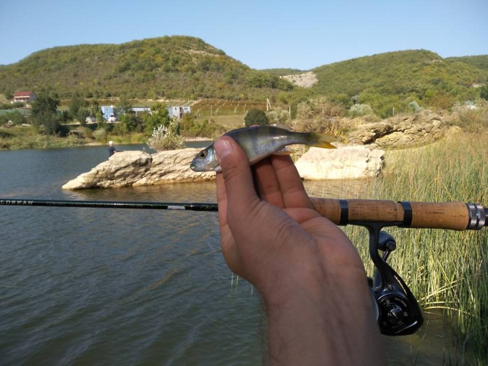 Пресноводная рыбалка в крыму - описания, карта и координаты gps платных озер для рыбалки в крыму