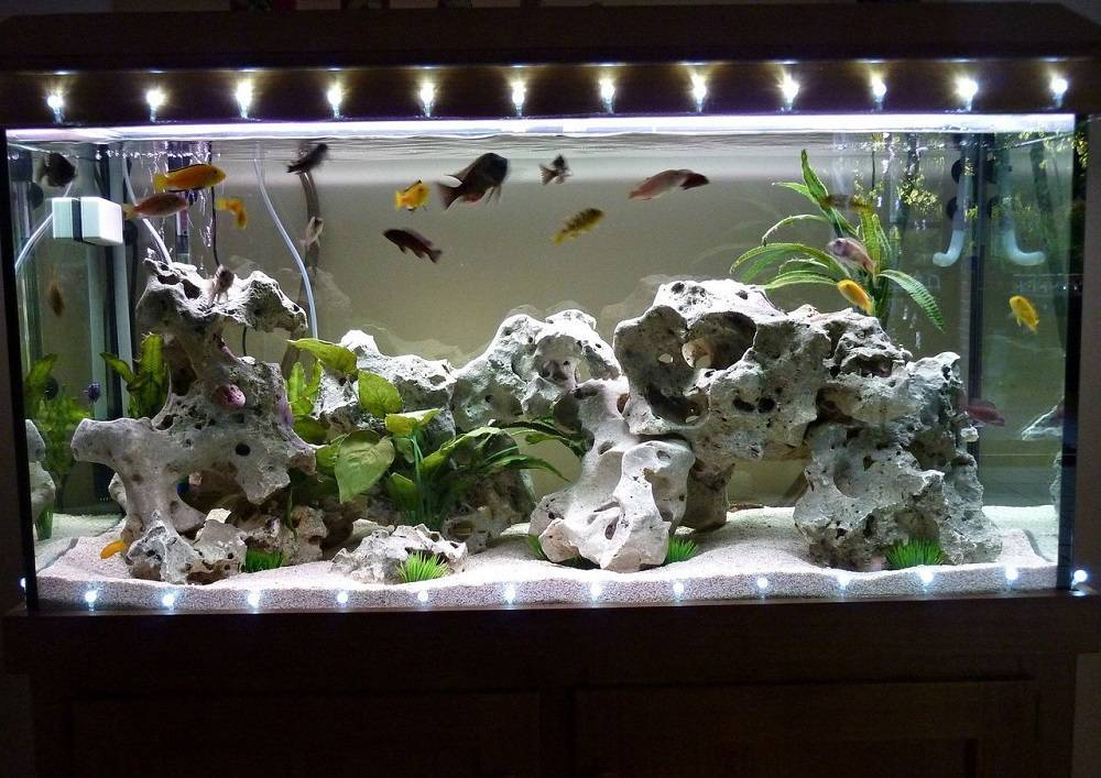 Идеи оформления аквариума своими руками: грунт, коряги и другие декорации