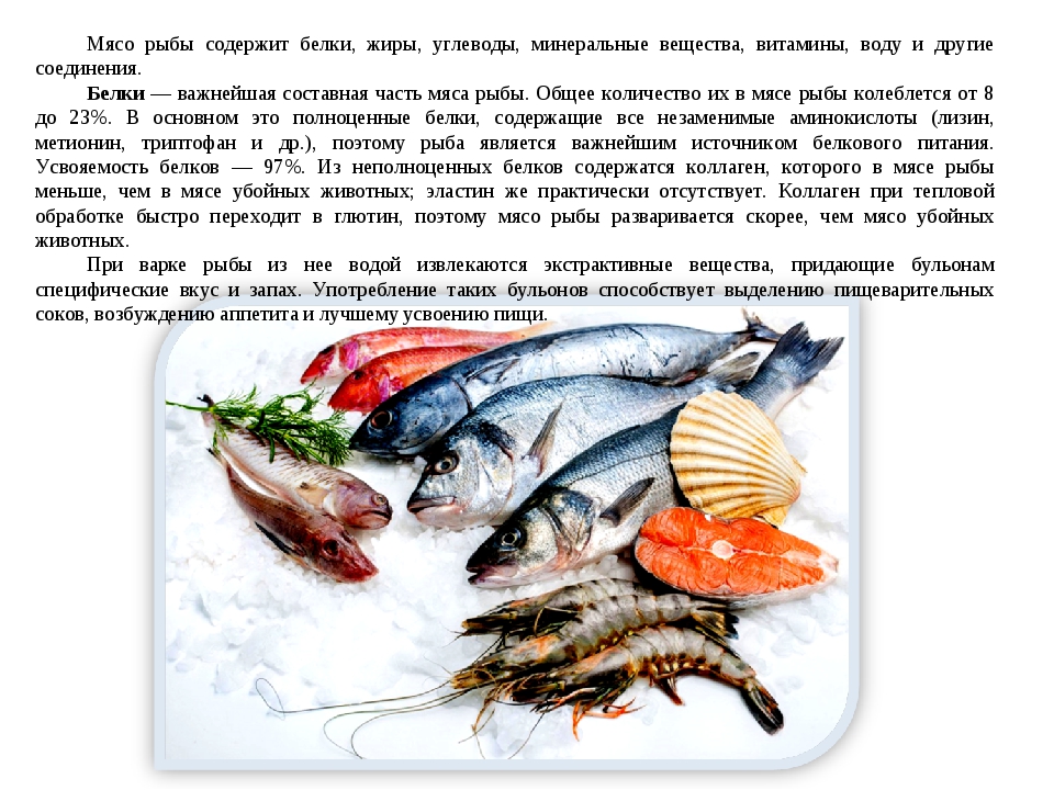 Рыба макрурус - среда обитания, питательная ценность, польза и вред