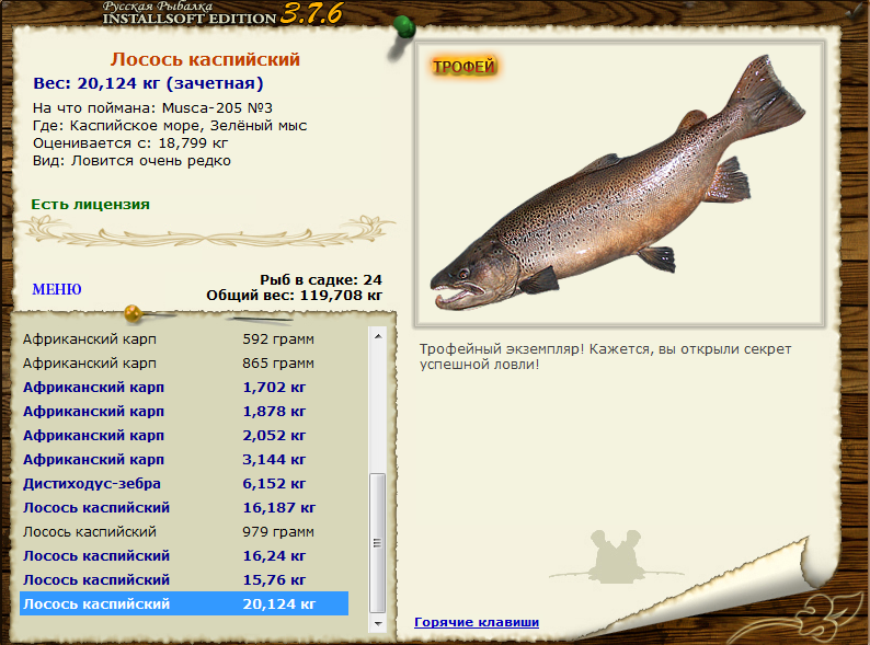Семейство лососевых рыб: описание и фото, породы рыб