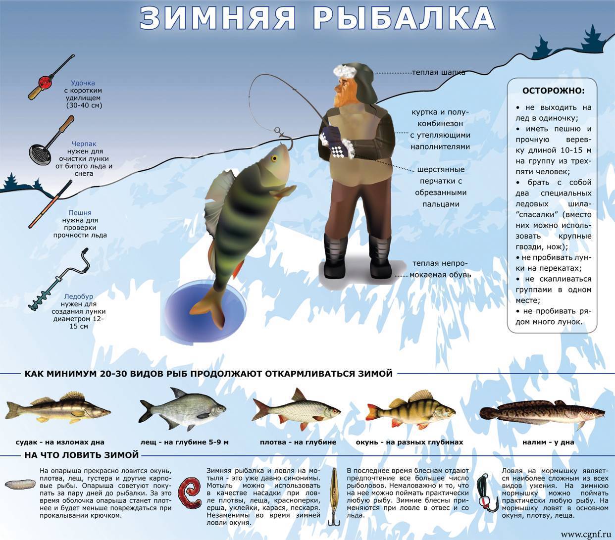 Рыбалка в декабре: какую рыбу ловить и где ее искать