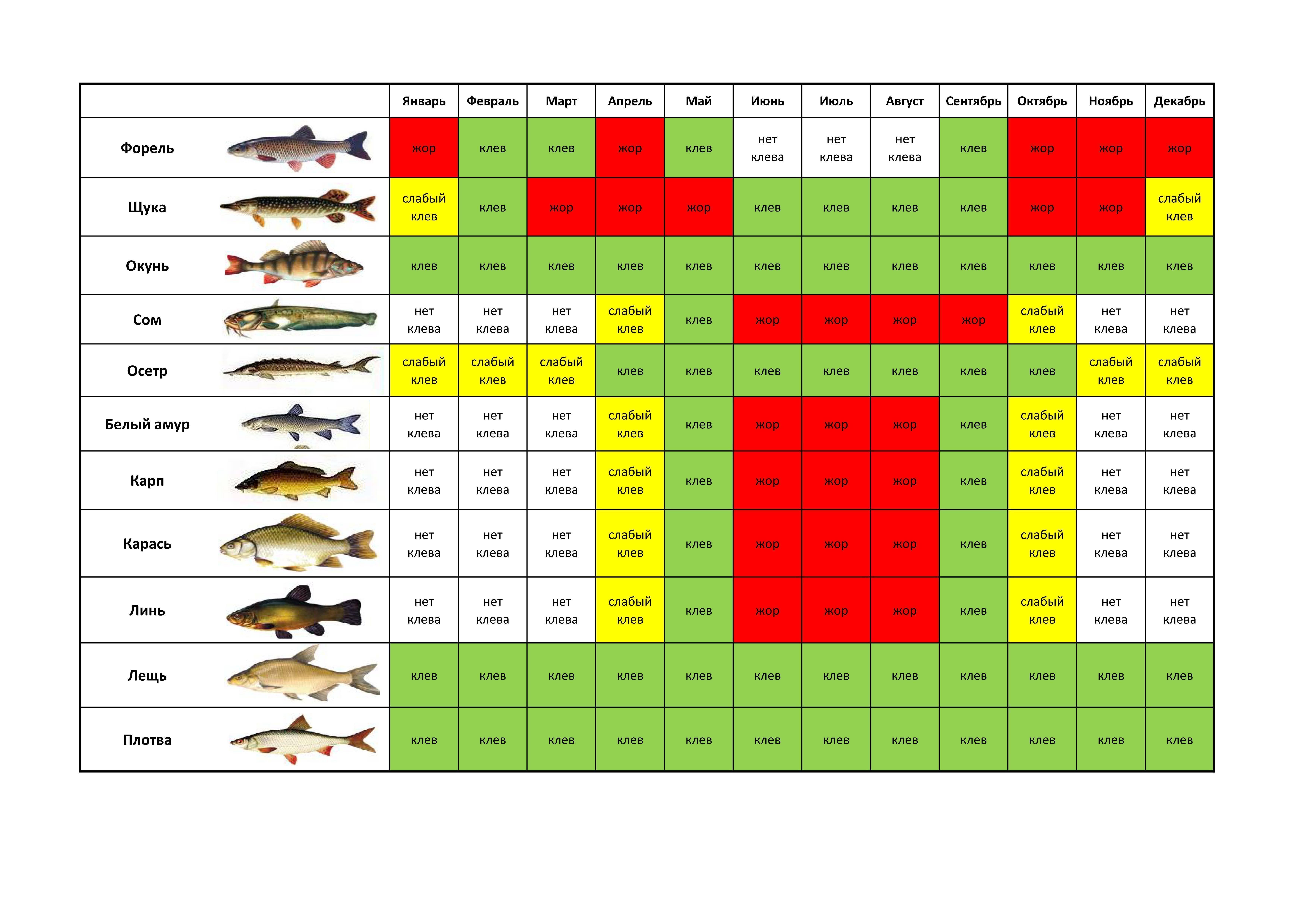 Рыболовный календарь: ловля рыбы в сентябре