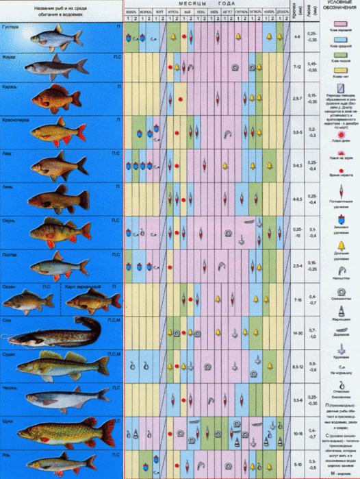Рыбалка в августе — какую рыбу ловить