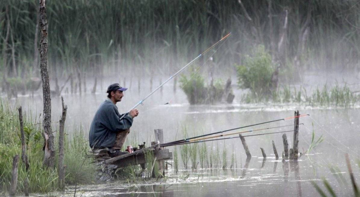 ???? как рыба клюет в дождь: рекомендации по ловле