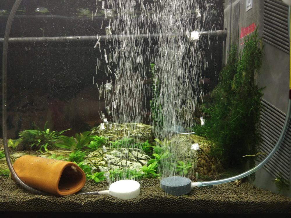 Как сделать аэрацию воды в аквариуме без компрессора